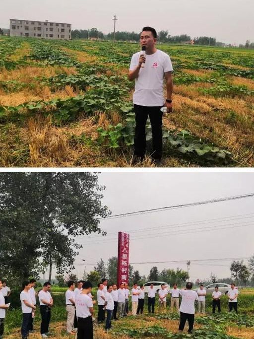 英伟达公司发展历程插画