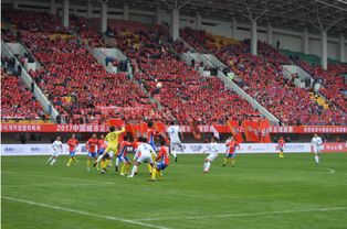 足球比赛现场观众