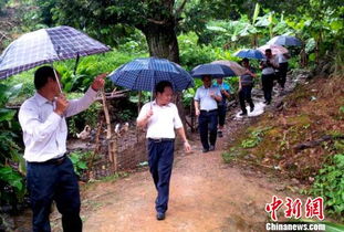 广西防御台风措施图