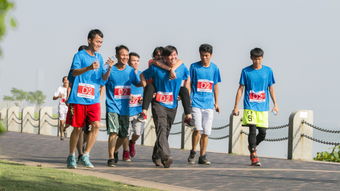 热烈开跑计划：一场充满激情与挑战的奔跑之旅