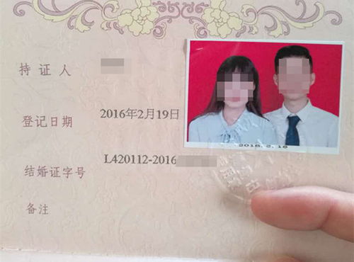 新人办结婚证意外领到离婚证，背后真相令人咋舌！
