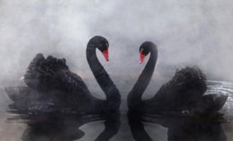 德企业家怒怼：美关税政策成全球经济定时炸弹