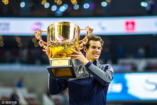 黄蜂勇夺夏联冠军，荣耀背后的故事！