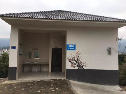 农村公厕建而不用？村民怒怼背后真相大揭秘！