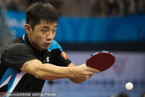 张继科办赛前竟联系马龙樊振东，背后故事引人深思