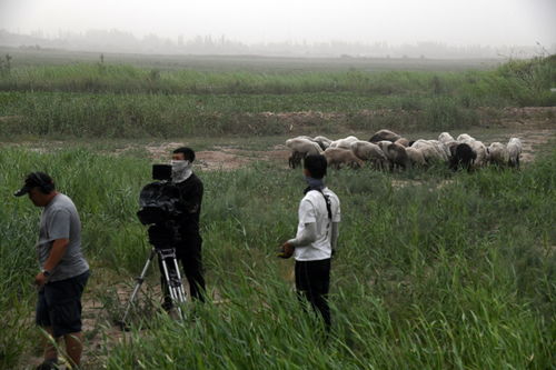 袁姗姗赴哀牢山拍戏，文旅局回应引热议