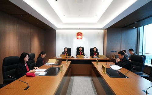 法院审理相关案件