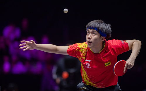 王楚钦夺冠后的背影