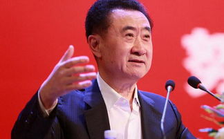 王健林：昔日帝国的风雨飘摇之路