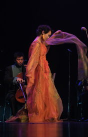 龚琳娜演唱《自由鸟》