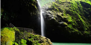 青城山遇险！女子亲眼目睹山溪暴涨瞬间