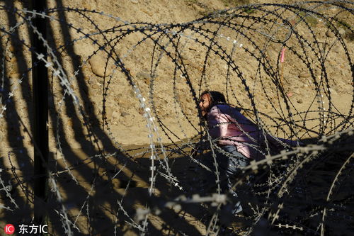 移民在铁丝网后哭泣