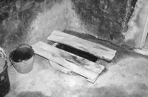 农村公厕怪象：领导视察才开门，村民只能用旱厕