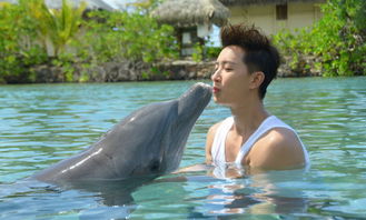 韩庚微博晒水下吻海豚照，网友调侃颜值不如海豚