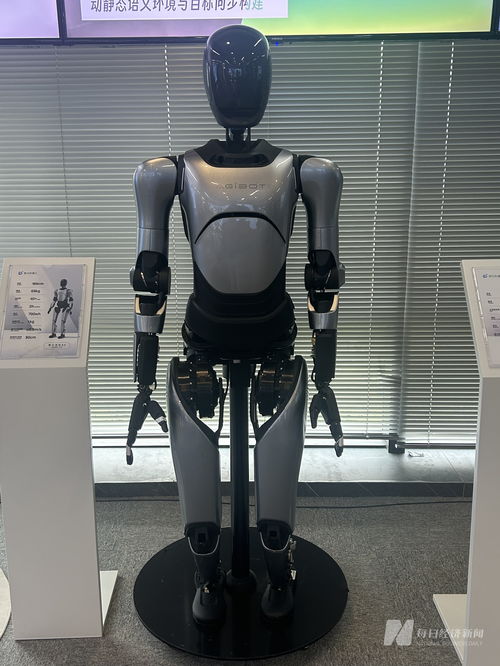 机器人赛道火热！智元、宇树扎堆上市背后的真相