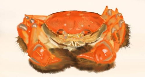 “韦帕”过境，广东海滩惊现海量海鲜！