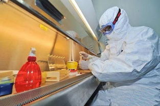 全球超百国现基孔肯雅病毒，疫情形势严峻！