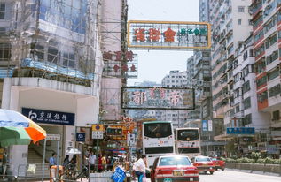 今日大暑，快来做这些事儿！