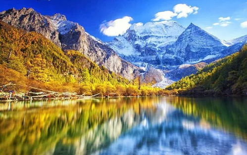 追求自我生活的象征