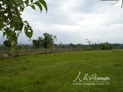 济南受灾地区的惨状