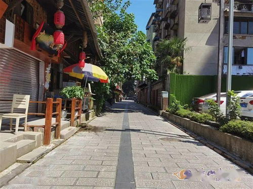 探寻中华文脉之旅——跟随总书记的脚步