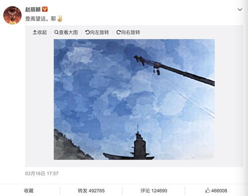 《731》撤档风波：真相究竟为何？