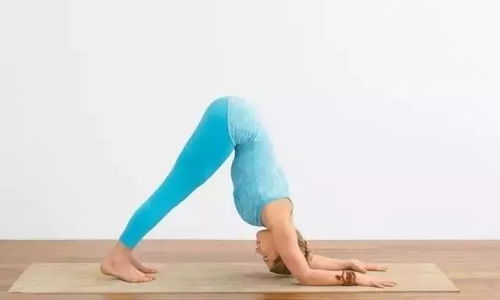 一位宝妈正在认真做瑜伽动作练习背部力量