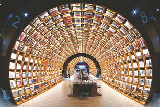 中国开放新高地景象