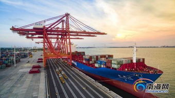 海南自贸港封关倒计时，重大机遇即将开启！