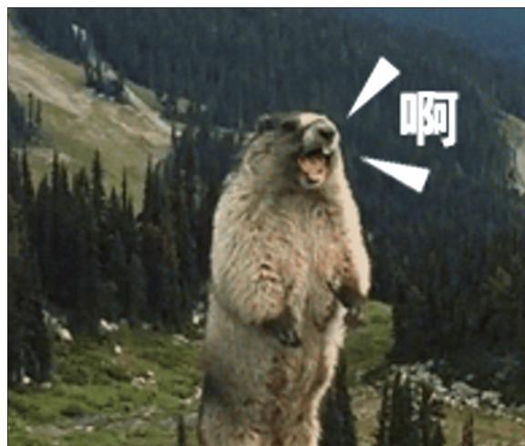 大疆无人机被土拨鼠叼走，游客无奈向客服求助！