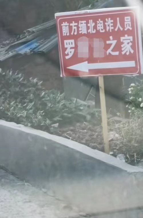 村民拍的视频截图