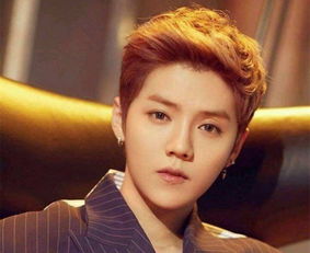 鹿晗直播连麦画面