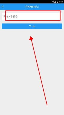 骑手认真查看手机上的订单详情