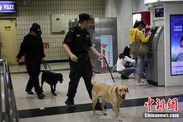 警犬巡视地铁