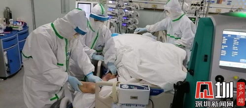 广东基孔肯雅热疫情严峻，佛山超两千例！