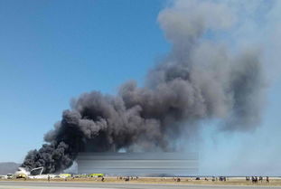 航班冲突频发！旅客打架、粉丝追星致延误，航空安全引担忧