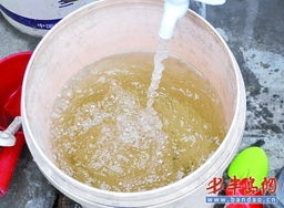 杭州自来水发臭事件：7人被问责背后的故事