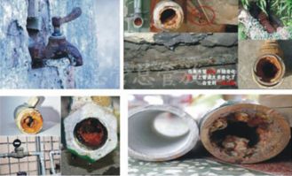 杭州余杭自来水异味事件：7人被问责，受影响用户7月水费全免！