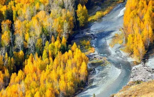 清澈的水流淌，水质恢复正常