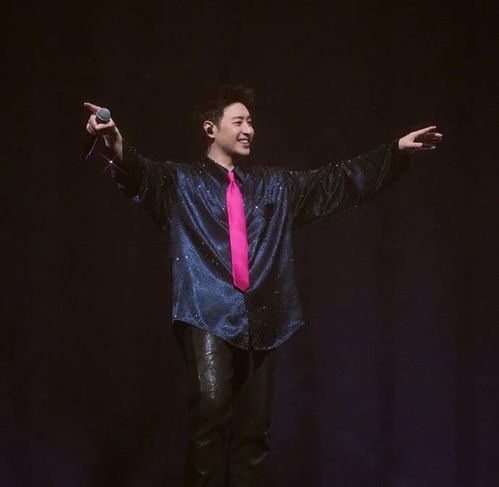 潘玮柏演唱会现场