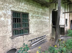 重庆姐弟坠亡案涉事房产拍卖遇冷，背后故事令人唏嘘