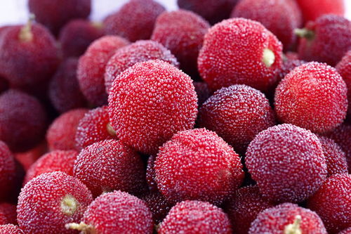 制作过程中的杨梅半成品