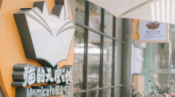 杨浦的艺术氛围展示