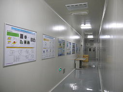 Meta实验室内部环境