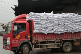 12家整车上市公司2025半年业绩揭晓，商用车企集体飘红！