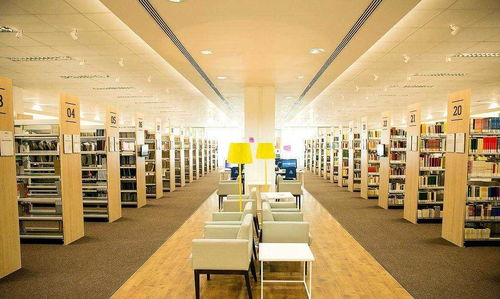 大学图书馆内部