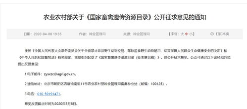 中纪委再点名医药腐败，深度剖析其影响与治理