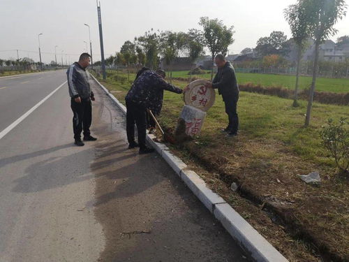 工作人员巡查道路