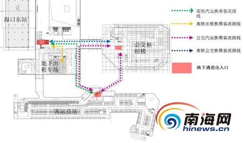 美团外卖助力广东荔枝畅销，成为即时零售标杆