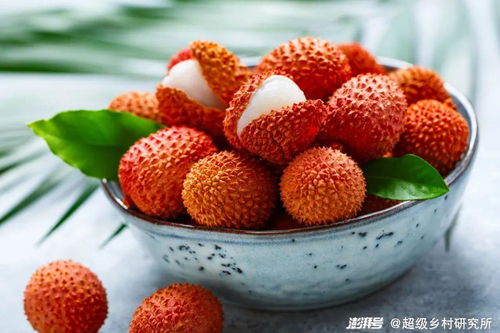 广东荔枝高端化示意图